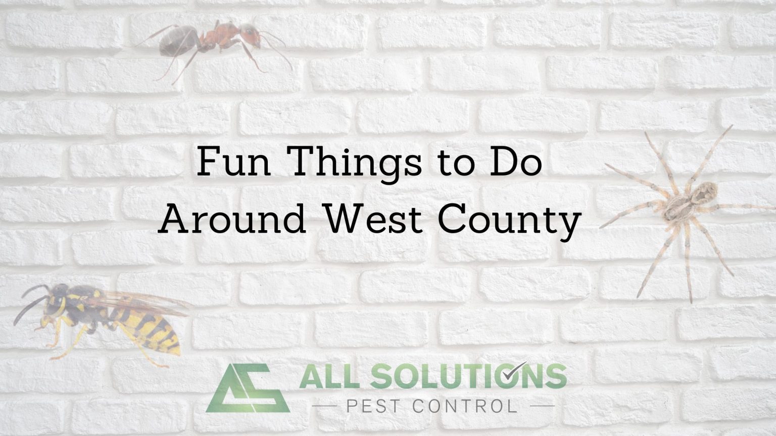 fun-things-to-do-around-west-county-all-solutions-pest-control