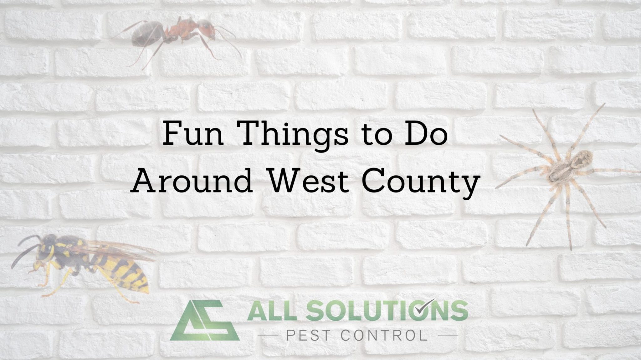 fun-things-to-do-around-west-county-all-solutions-pest-control