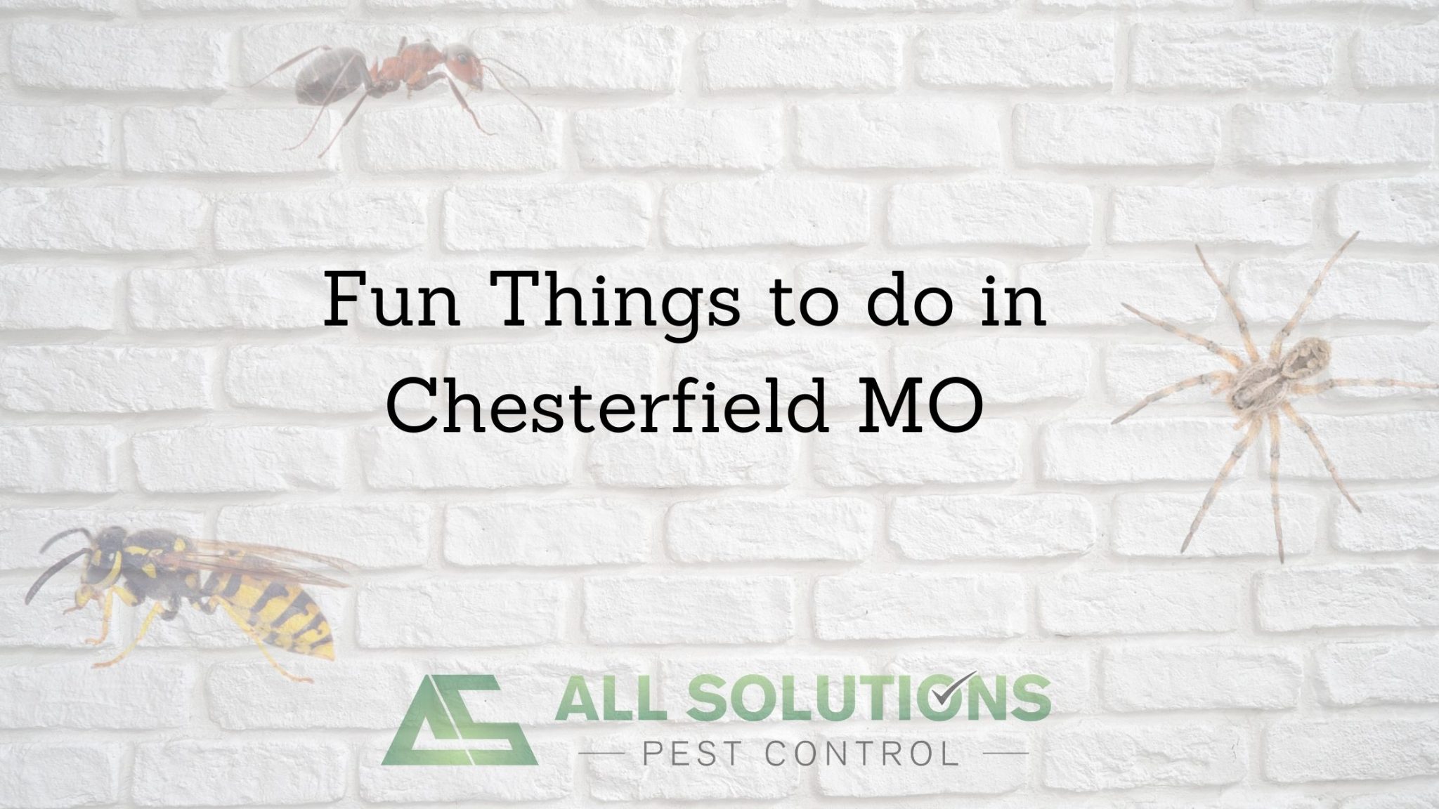 fun-things-to-do-in-chesterfield-mo-all-solutions-pest-control