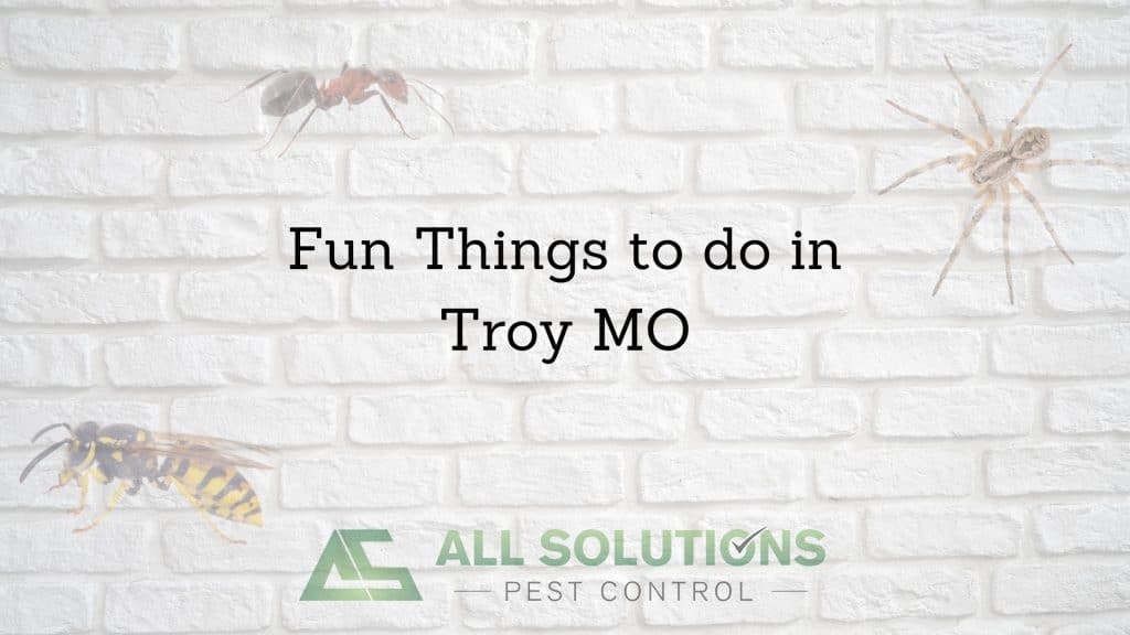 Fun Things to do in Troy MO