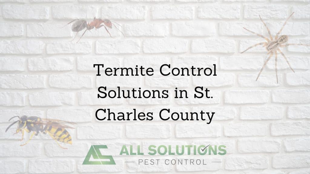 Termite Control Solutions in St. Charles County