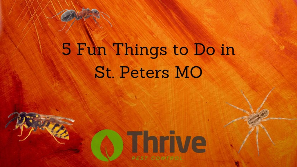 5 Fun Things to Do in St. Peters MO