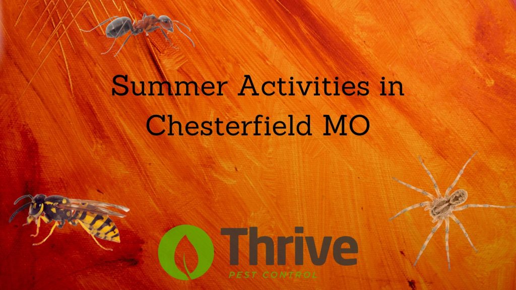 Summer Activities in Chesterfield MO