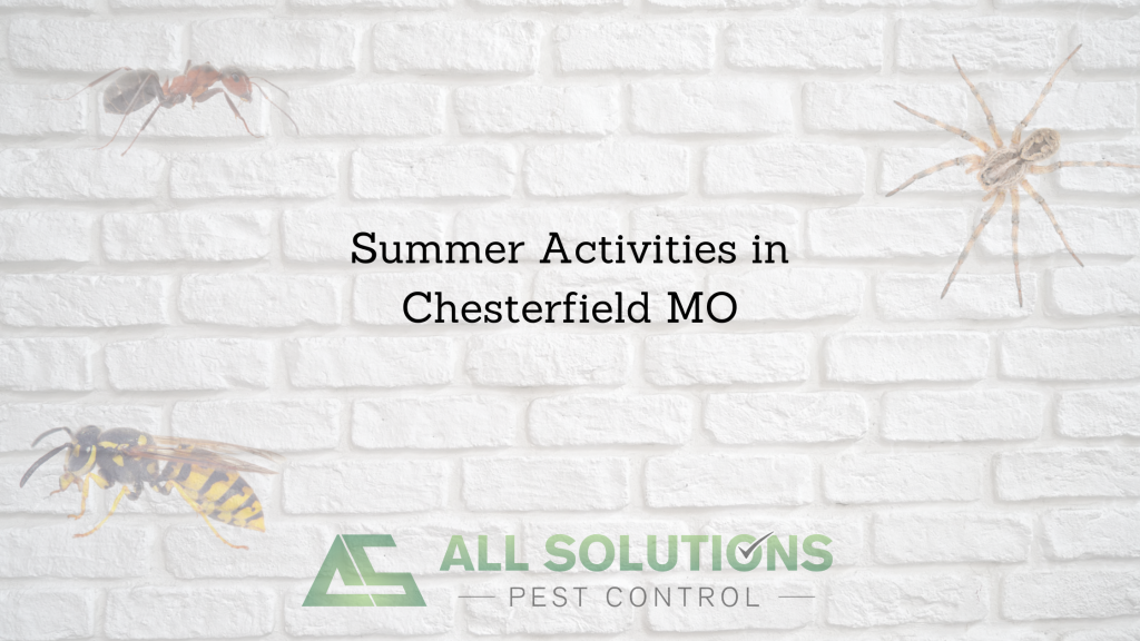 Summer Activities in Chesterfield MO