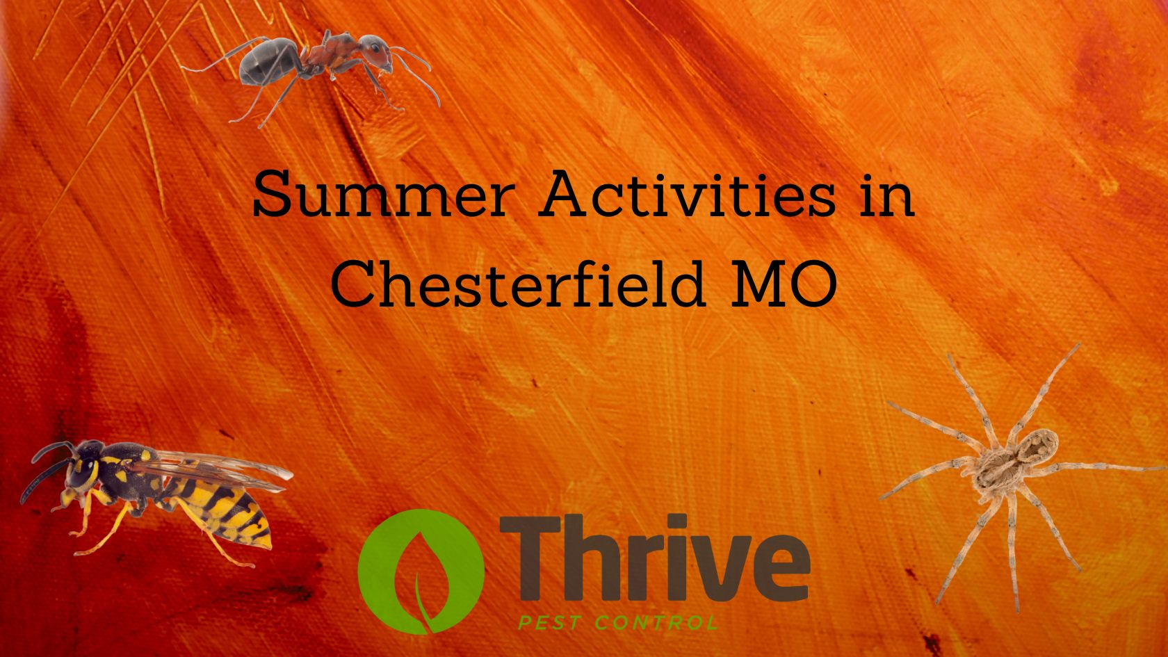 Summer Activities in Chesterfield MO - All Solutions Pest Control