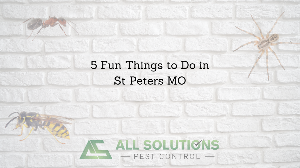 5 Fun Things to Do in St Peters MO