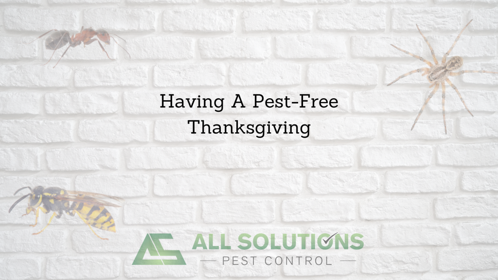 Having a Pest-Free Thanksgiving