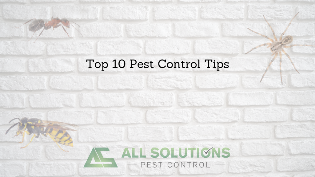 Top 10 Pest Control Tips