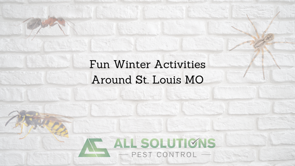 Fun Winter Activitites around St. Louis MO